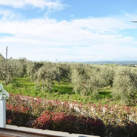 Il Paradisino San Gimignano's Countryside Апартаменты *
