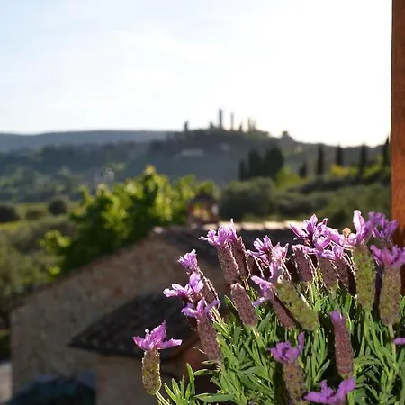 Il Paradisino San Gimignano's Countryside * San Gimignano